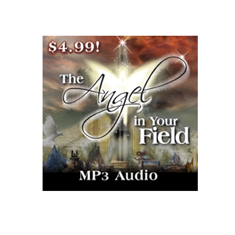 The Angel In Your Field